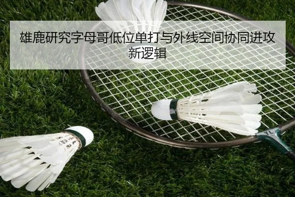img_1780166611056_471_1_971.jpg