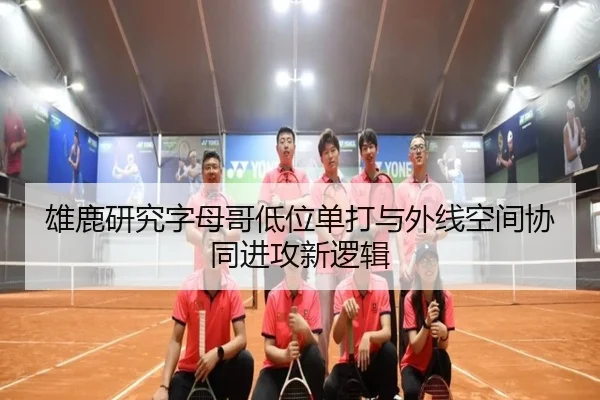 雄鹿研究字母哥低位单打与外线空间协同进攻新逻辑