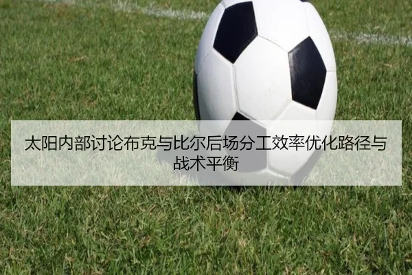 太阳内部讨论布克与比尔后场分工效率优化路径与战术平衡