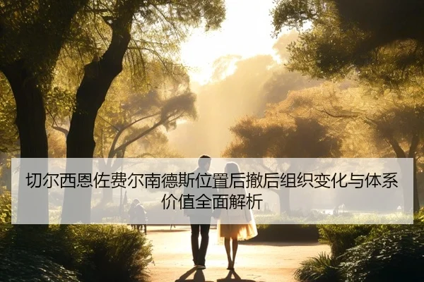 切尔西恩佐费尔南德斯位置后撤后组织变化与体系价值全面解析